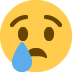 :cry: cry